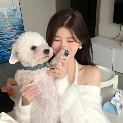 披荆斩棘第二季